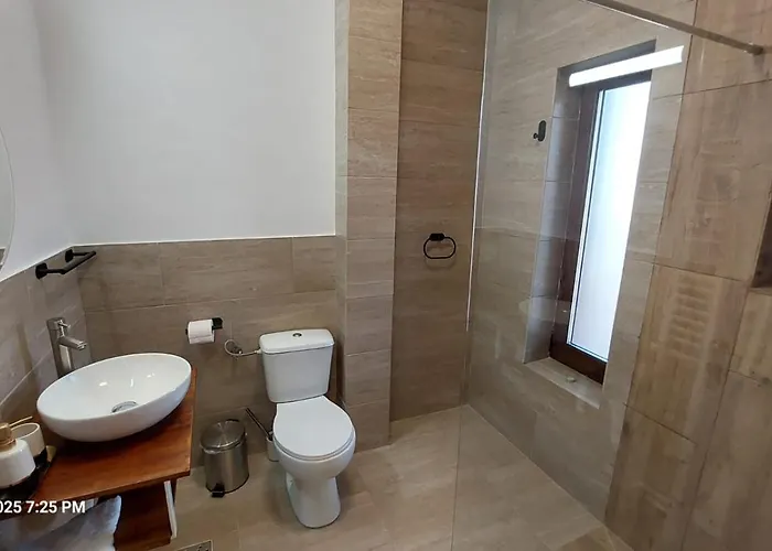 Casa de hóspedes Rasarit La Vadu