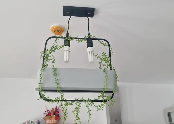 Casa de hóspedes Rasarit La